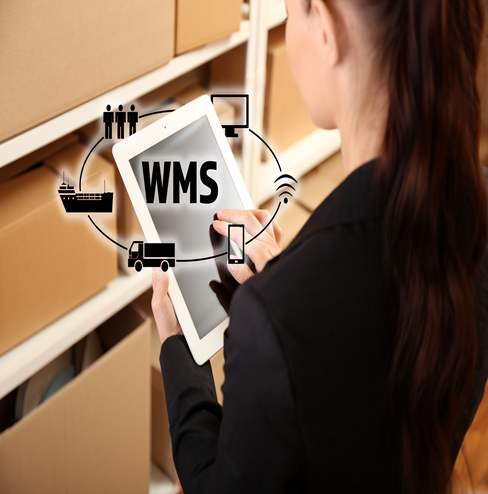 WMS